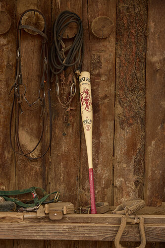 COMBAT MFG "Not My First Rodeo" SPEC-A1 Rodeo BBCOR Bat