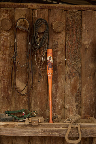 COMBAT MFG SPEC-A1 Rodeo BBCOR Bat